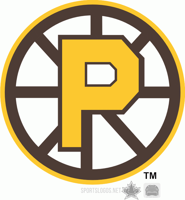 Providence Bruins 2009 10-Pres Alternate Logo iron on transfers for clothing